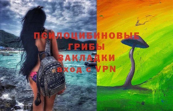 хмурый Надым