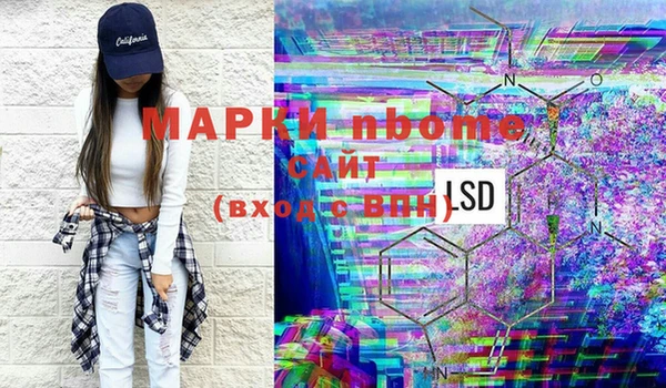 хмурый Надым